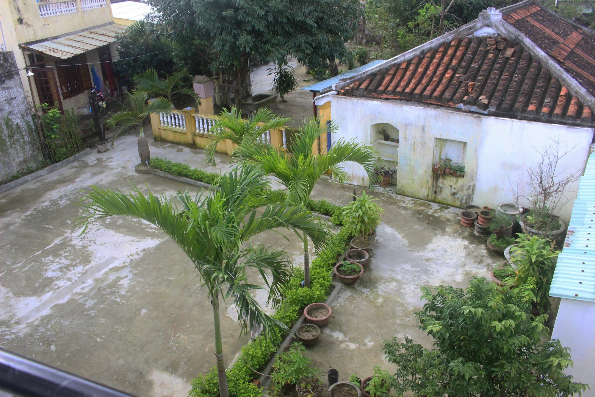 Hoi An Green View Homestay & Villa Esterno foto