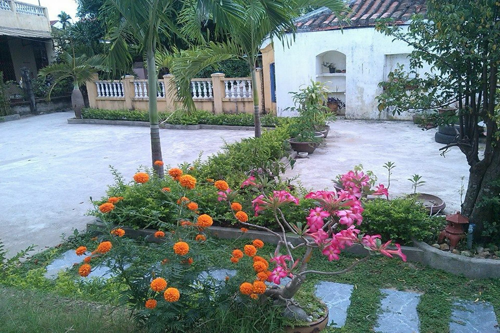 Hoi An Green View Homestay & Villa Esterno foto