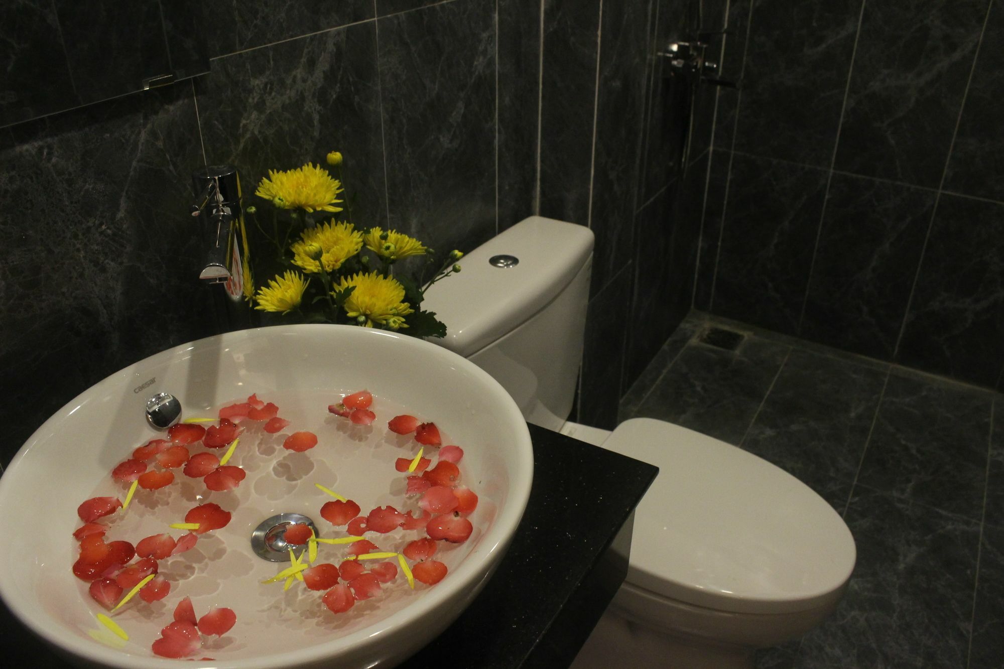 Hoi An Green View Homestay & Villa Esterno foto