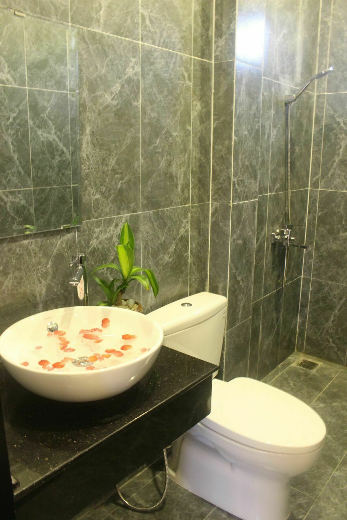 Hoi An Green View Homestay & Villa Esterno foto