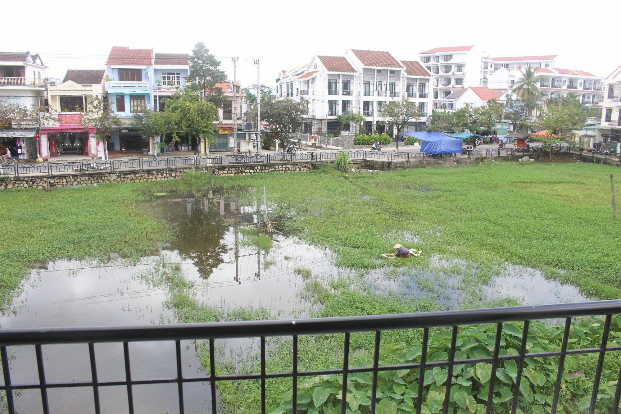 Hoi An Green View Homestay & Villa Esterno foto