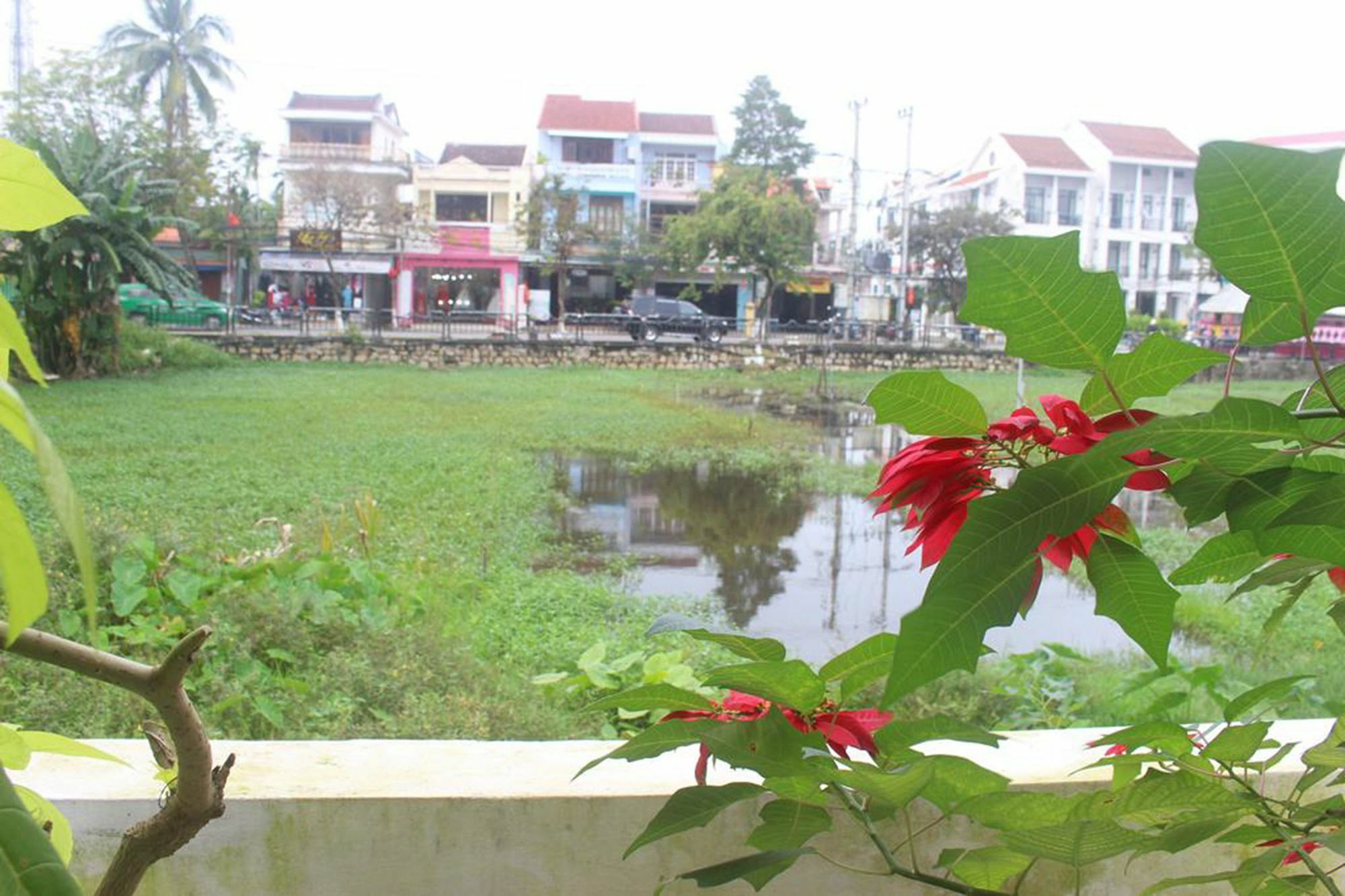 Hoi An Green View Homestay & Villa Esterno foto